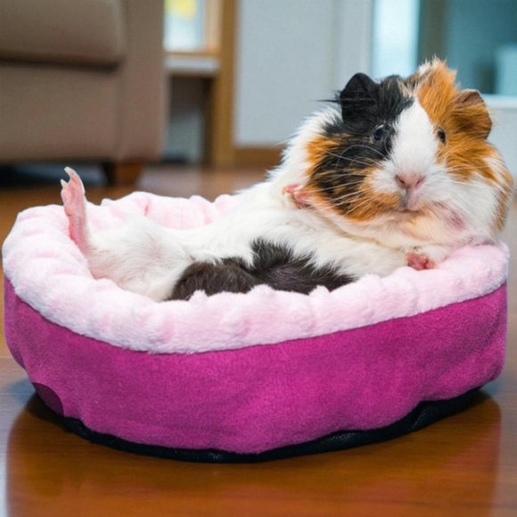 "Everything Pets" Posh Party - Picture 3 of 8